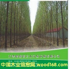 �o������Ԕ��(x��)��B