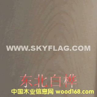 �|���ט��Ԕ����B