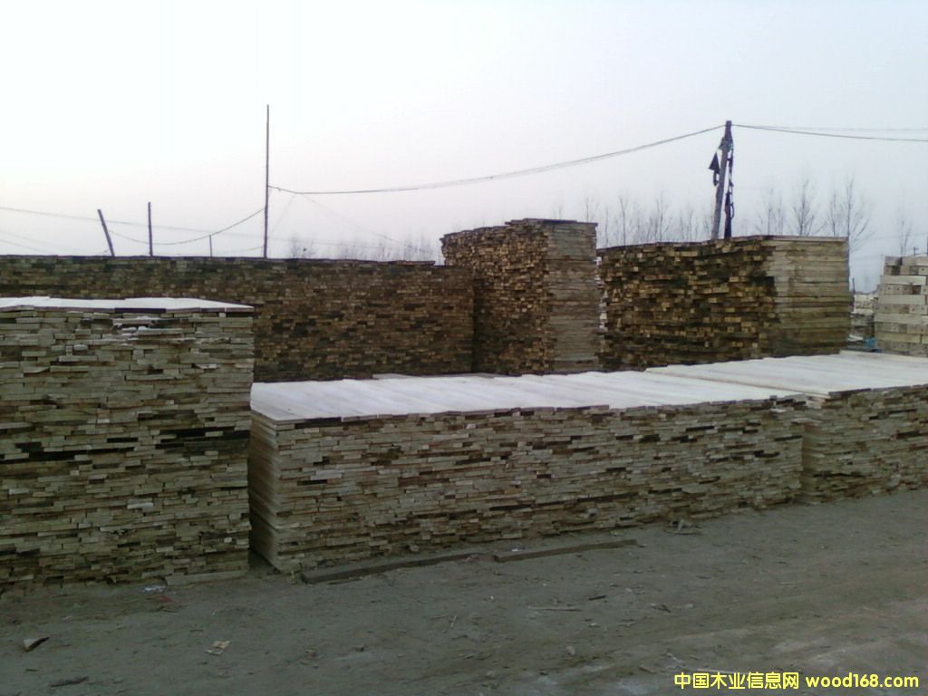 ��ͩľ��ĵ�Ԕ����B