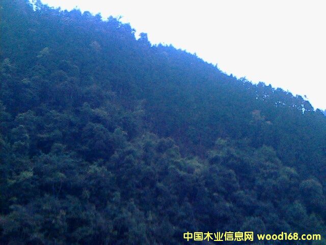 �ֈ�(ch��ng)��Ԕ��(x��)��B