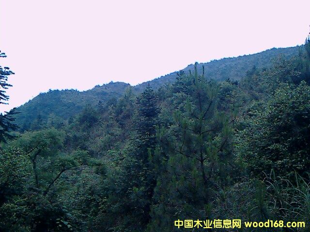 �ֵ����U�а�