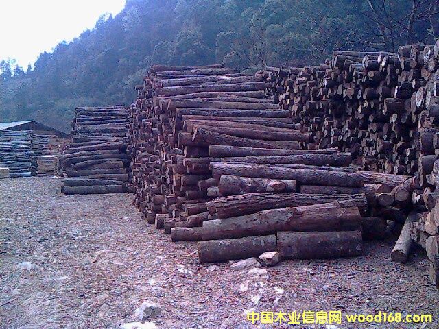 ���NҎ(gu��)��ΰ��Ԕ��(x��)��B