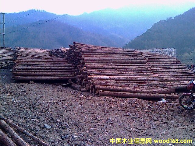 ɼԭľ��Ԕ��(x��)��B