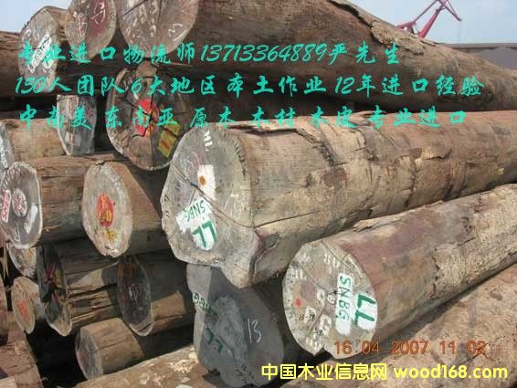 �M�ږ|�ρ����zľ/��ľ/����ľ�M����ɽ���ڈ��P