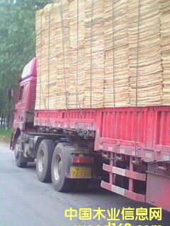 ��Ƥ/�ΰ��Ԕ��(x��)��B