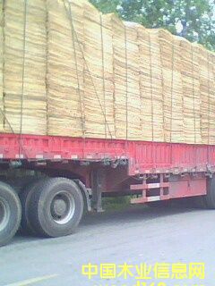 ��Ƥ���ΰ�