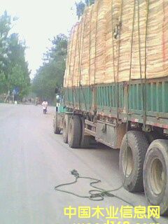 ��ľ�ΰ��Ԕ��(x��)��B