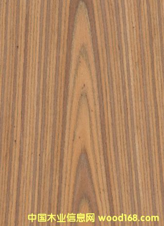 K.Y.Teak#301��Ԕ����B