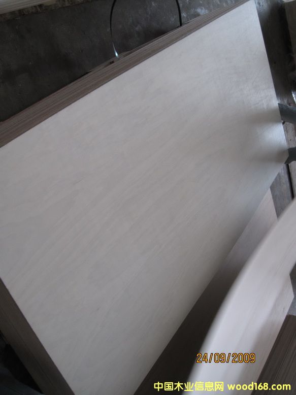 ��ľ�z�ϰ��Ԕ��(x��)��B