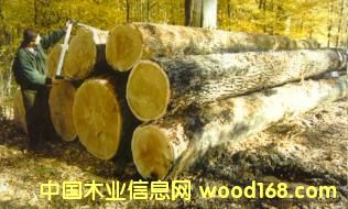 ��ľԭľ��Ƭ��Ԕ��(x��)��B