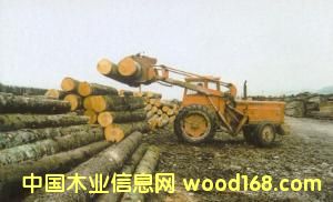 ɼľԭľ��Ƭ��Ԕ��(x��)��B