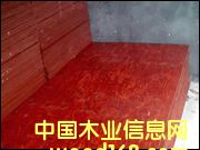 ����ģ���Ԕ����B