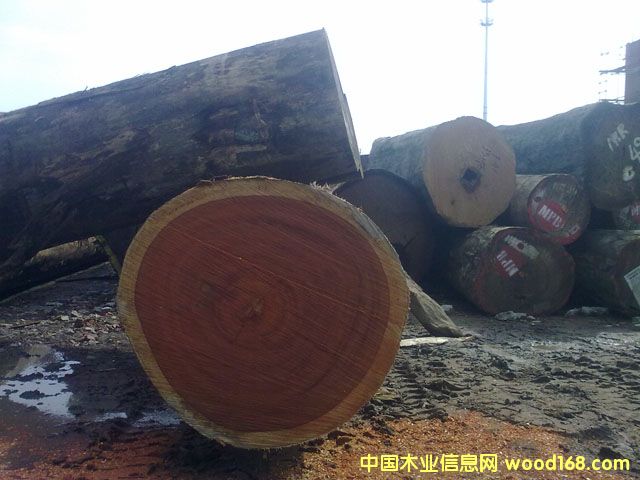 �t�����Ԕ��(x��)��B