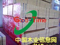 ��ľ�_̤��