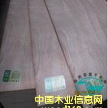 ��������о���Ӱ�E1