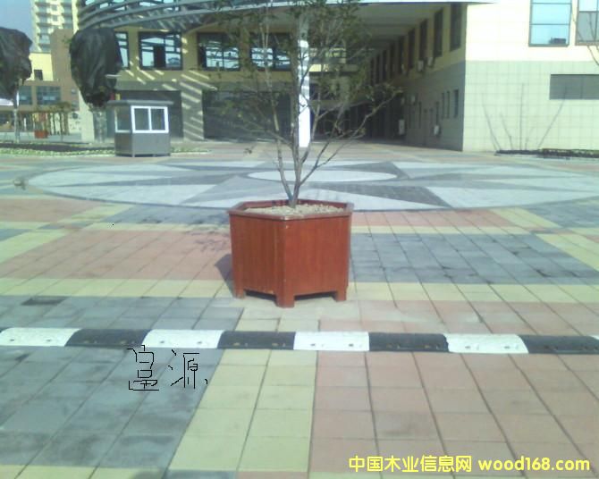 ���{��Ԕ��(x��)��B