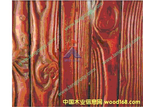 ̼��ľ��Ԕ��(x��)��B