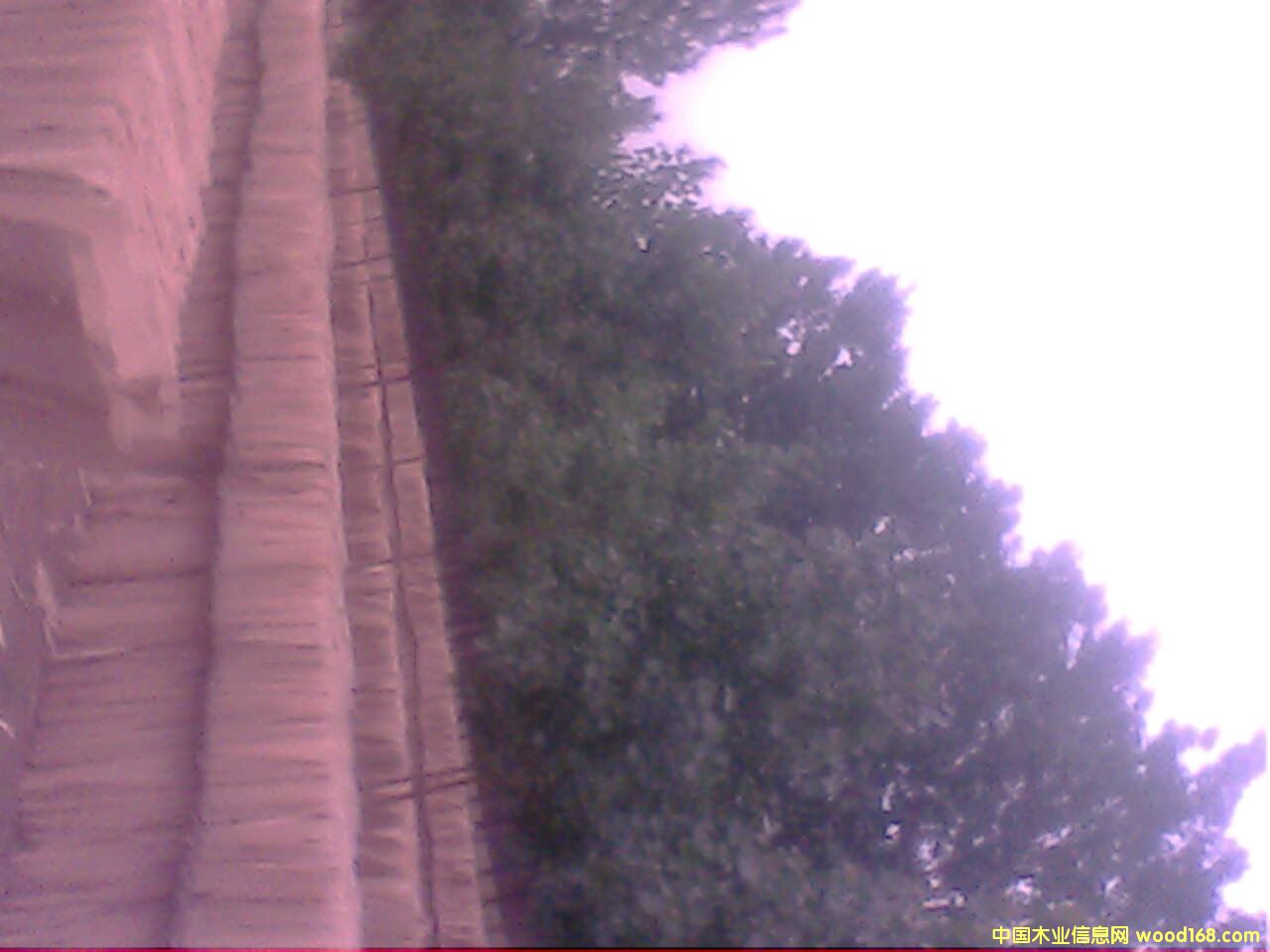 ��ľ�ΰ� ��Ԕ����B