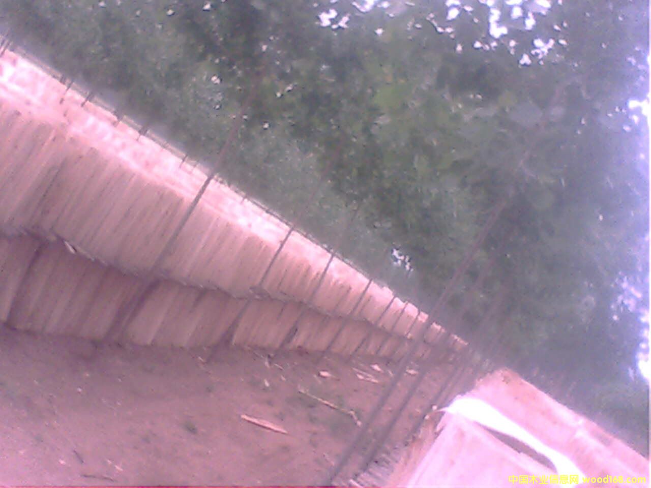 ��ľ�ΰ��Ԕ����B