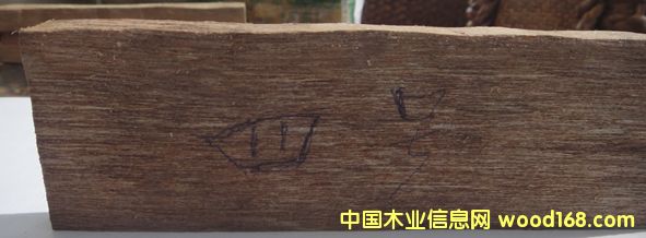 ����ľ��Ԕ����B