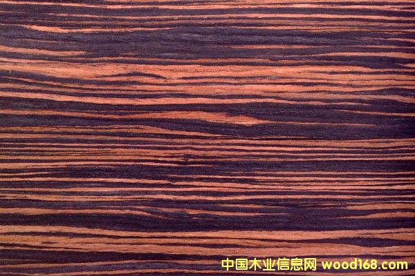 ��̴ľ�b�����Ԕ��(x��)��B