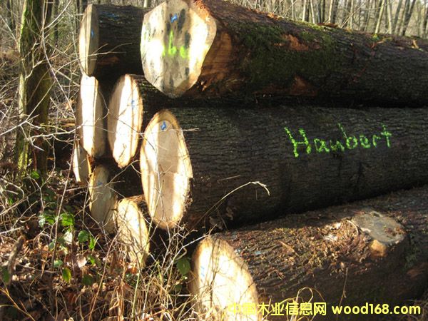 �W�ް���1��Ԕ����B