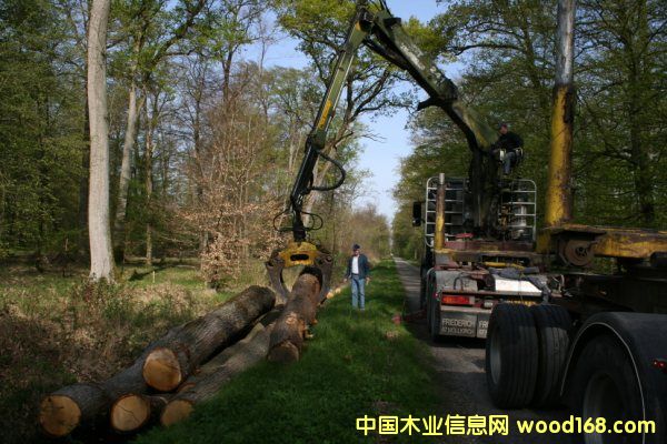 �W�ް���3��Ԕ����B