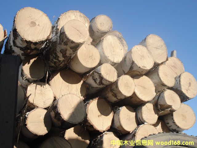 ���_˹�ט�3��Ԕ����B