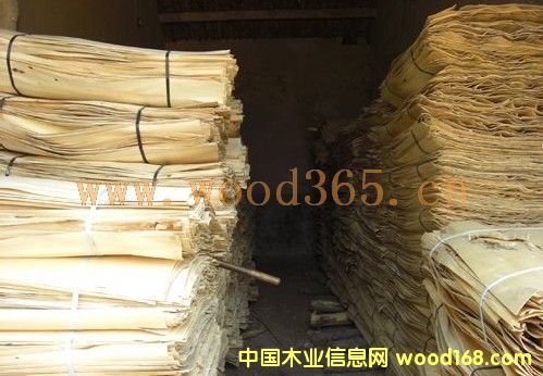 ��ľľƤ��Ԕ��(x��)��B