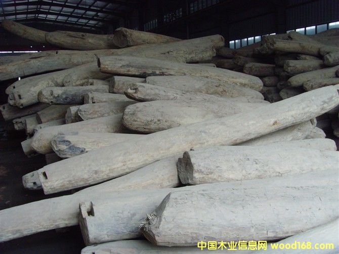 ����ľ��ԭľ��