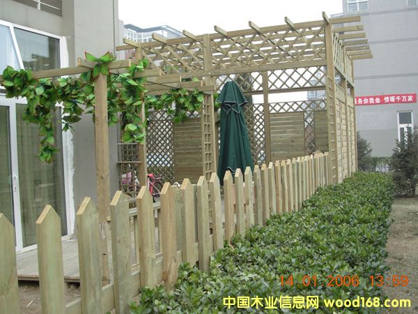 ����ľ����