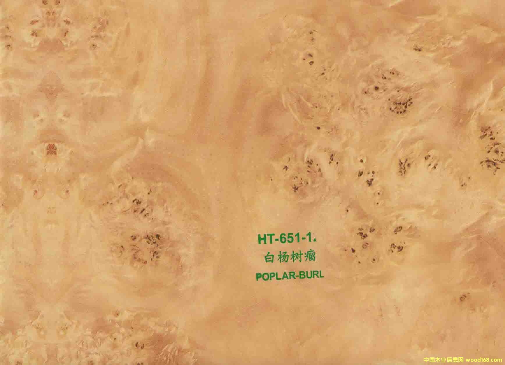 ���ľ�y����Ԕ��(x��)��B