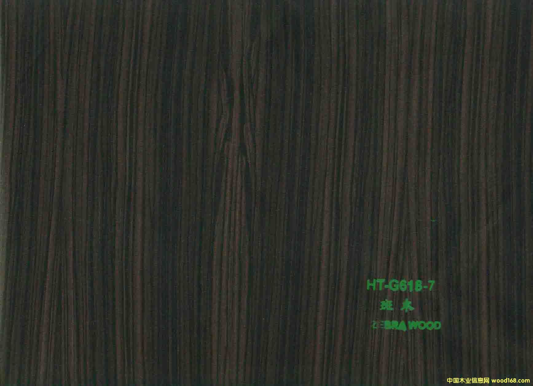 ��ľľ�y��