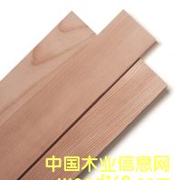 ���ô� ���� �M(j��n)�� ��ɼ