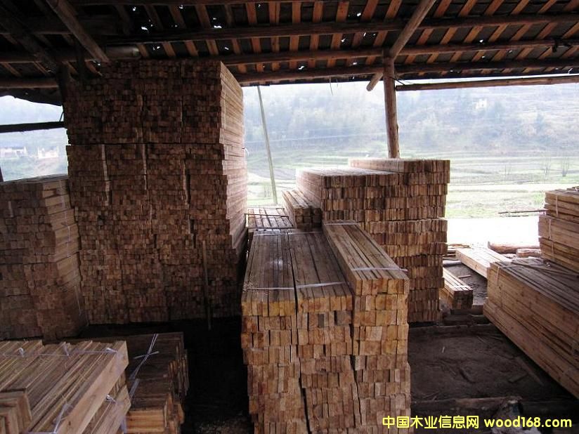 ľ����ľ�������