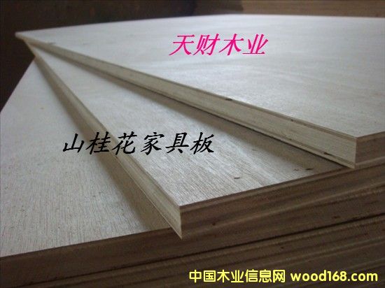 ɽ�𻨶��Ӱ�2