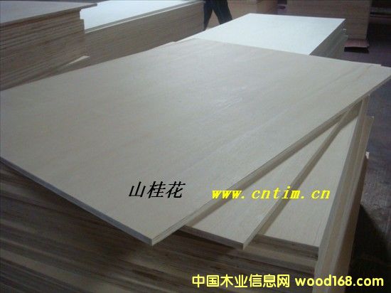 ɽ�𻨶��Ӱ�1