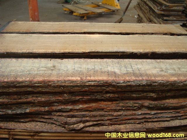 ��Ȼ�����L������ľ���2