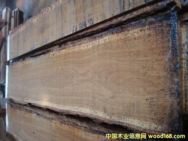 ��Ȼ�����L������ľ���3