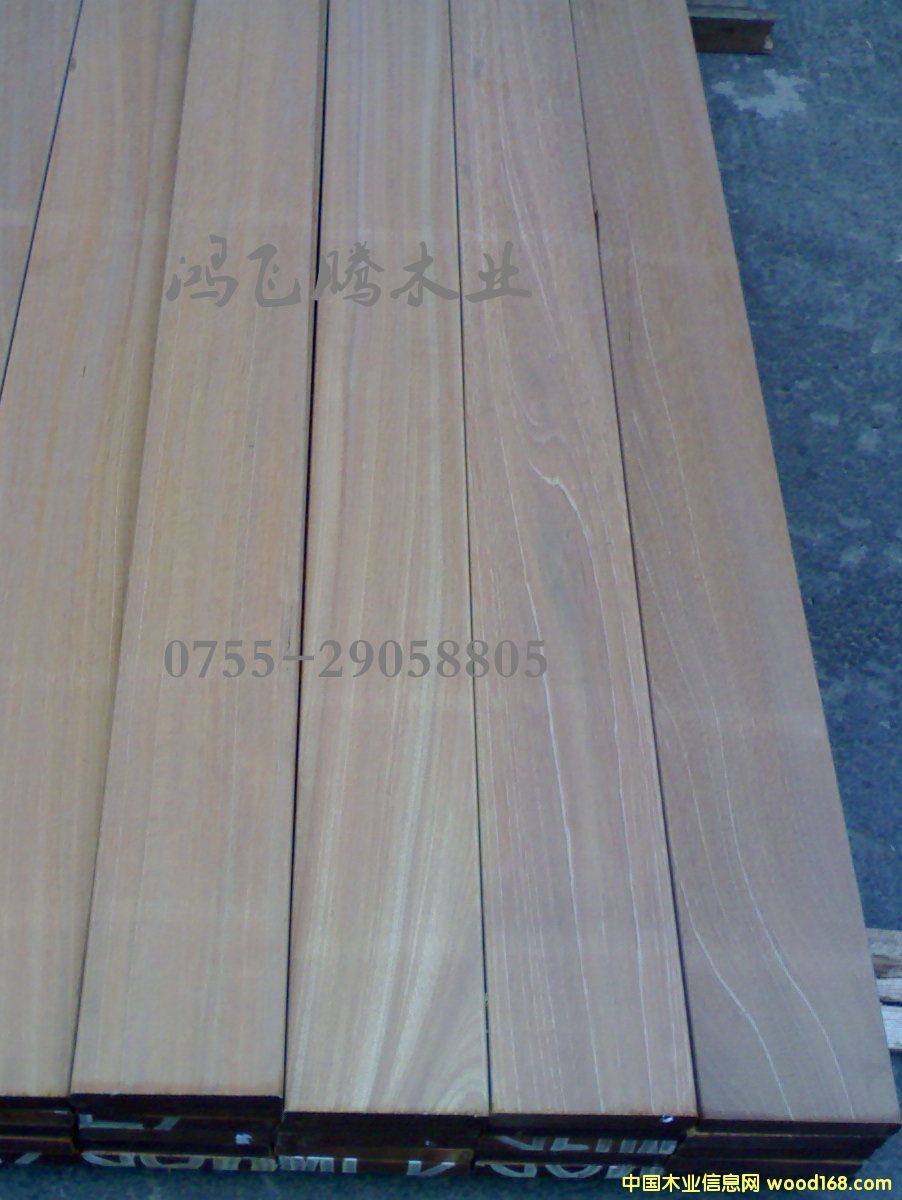 �̈́�ľ��Ԕ��(x��)��B