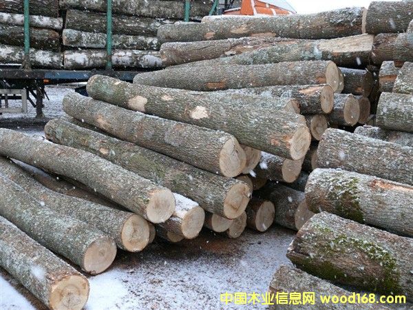 ��ˮ����