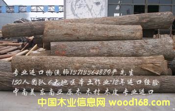 ľ���M���Q(m��o)�״���