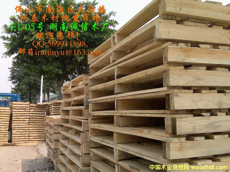 ���_(t��i)���Ԕ��(x��)��B