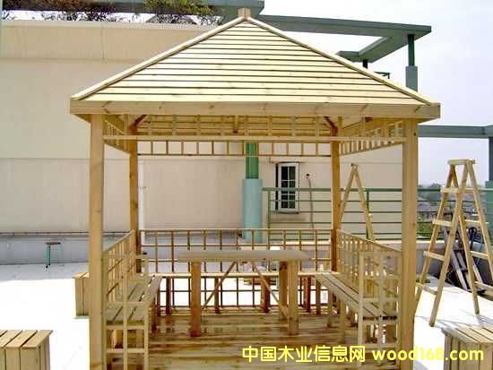 ����ľ��Ԕ��(x��)��B