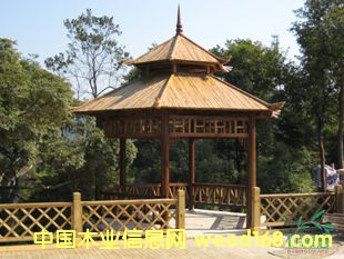 ����ľ��Ԕ��(x��)��B