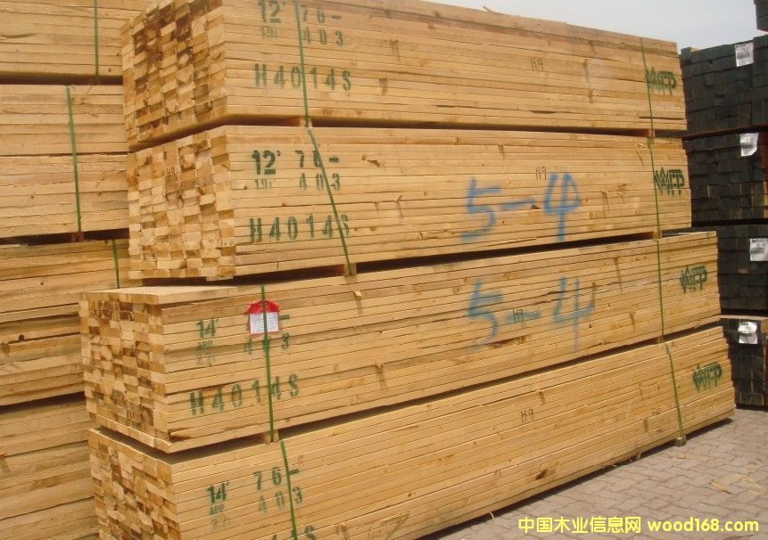 �M(j��n)�ڱ����Fɼ