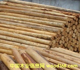 ɼľԭľ��Ԕ��(x��)��B