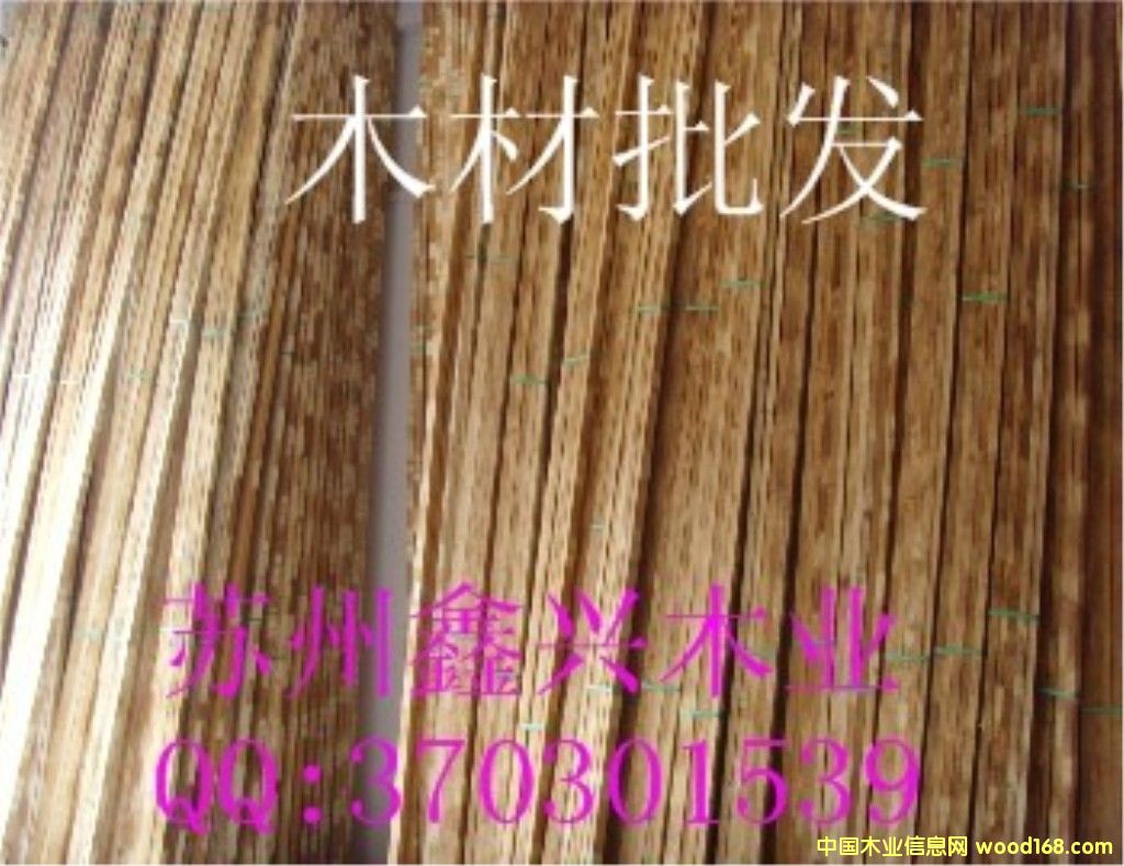 ľ�����l(f��)