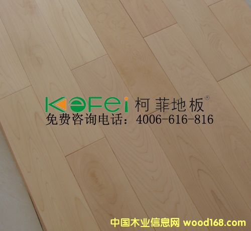 �·Ɨ�ľ��(sh��)ľ�ذ��Ԕ��(x��)��B