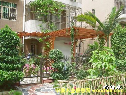 ����ľ����